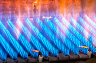 Dalblair gas fired boilers